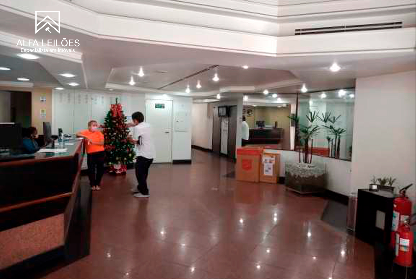 Lote