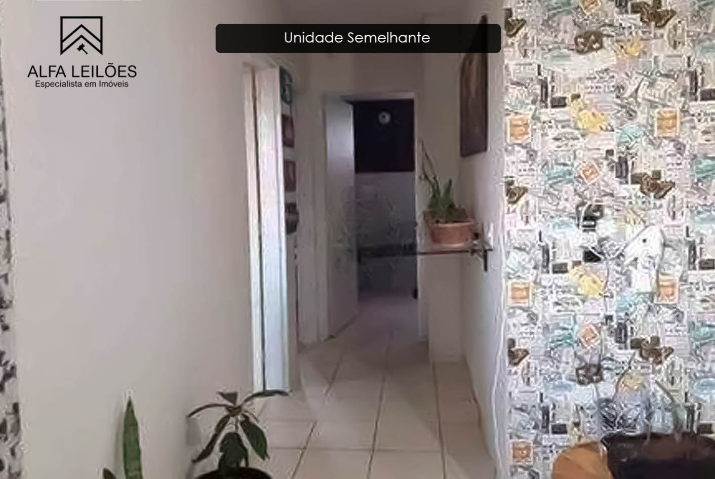 Lote