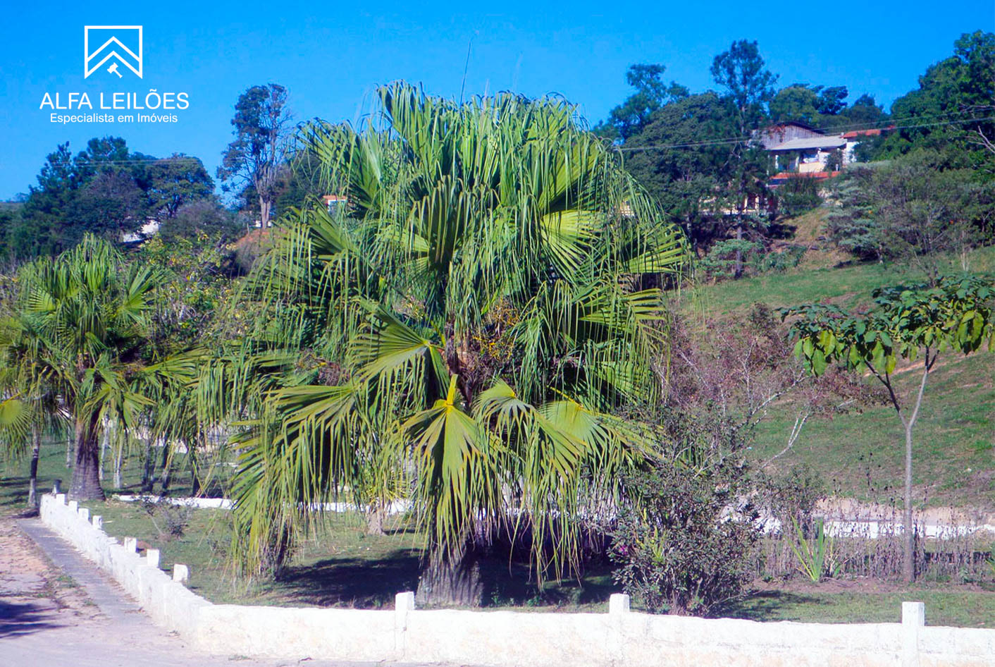 Lote