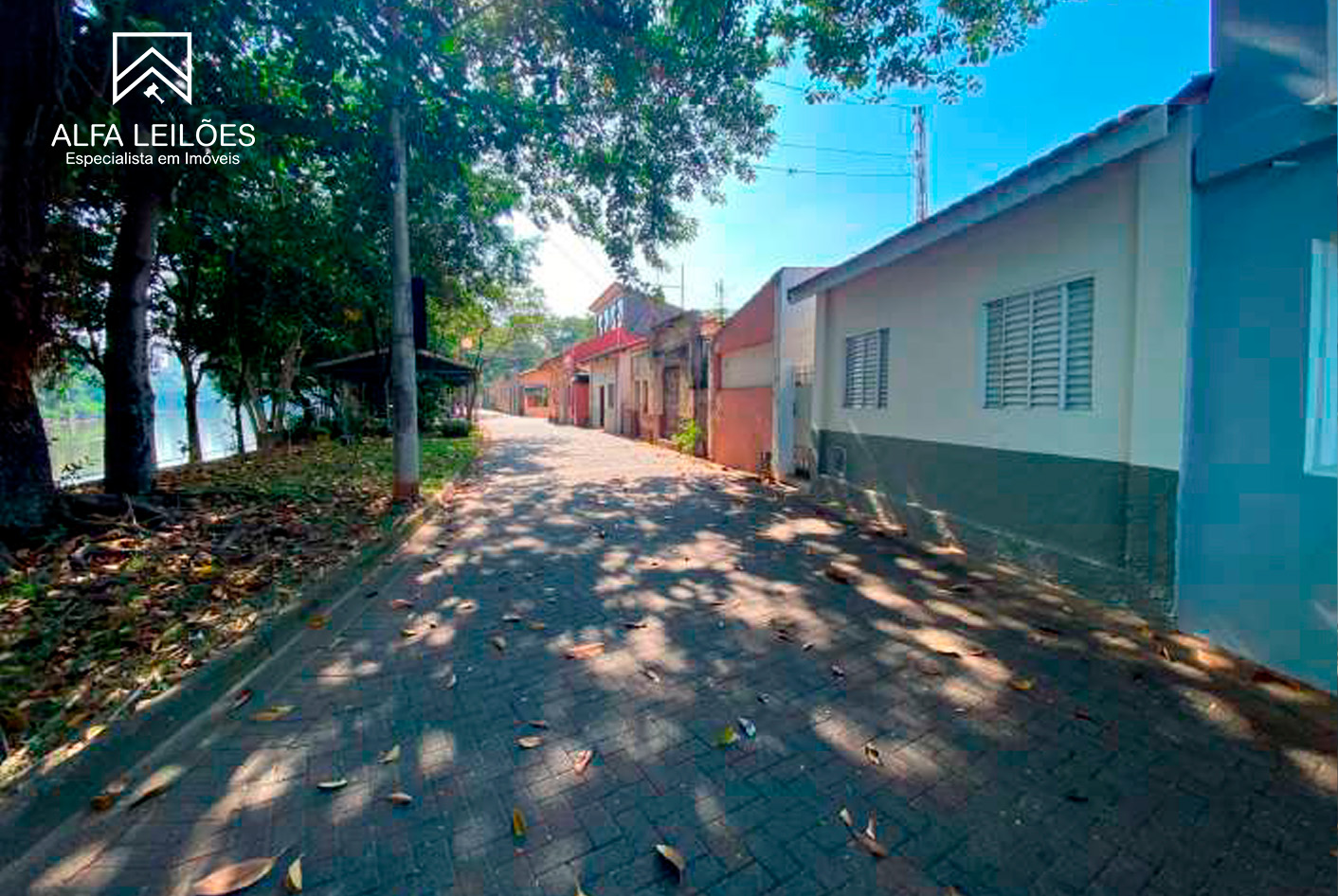 Lote
