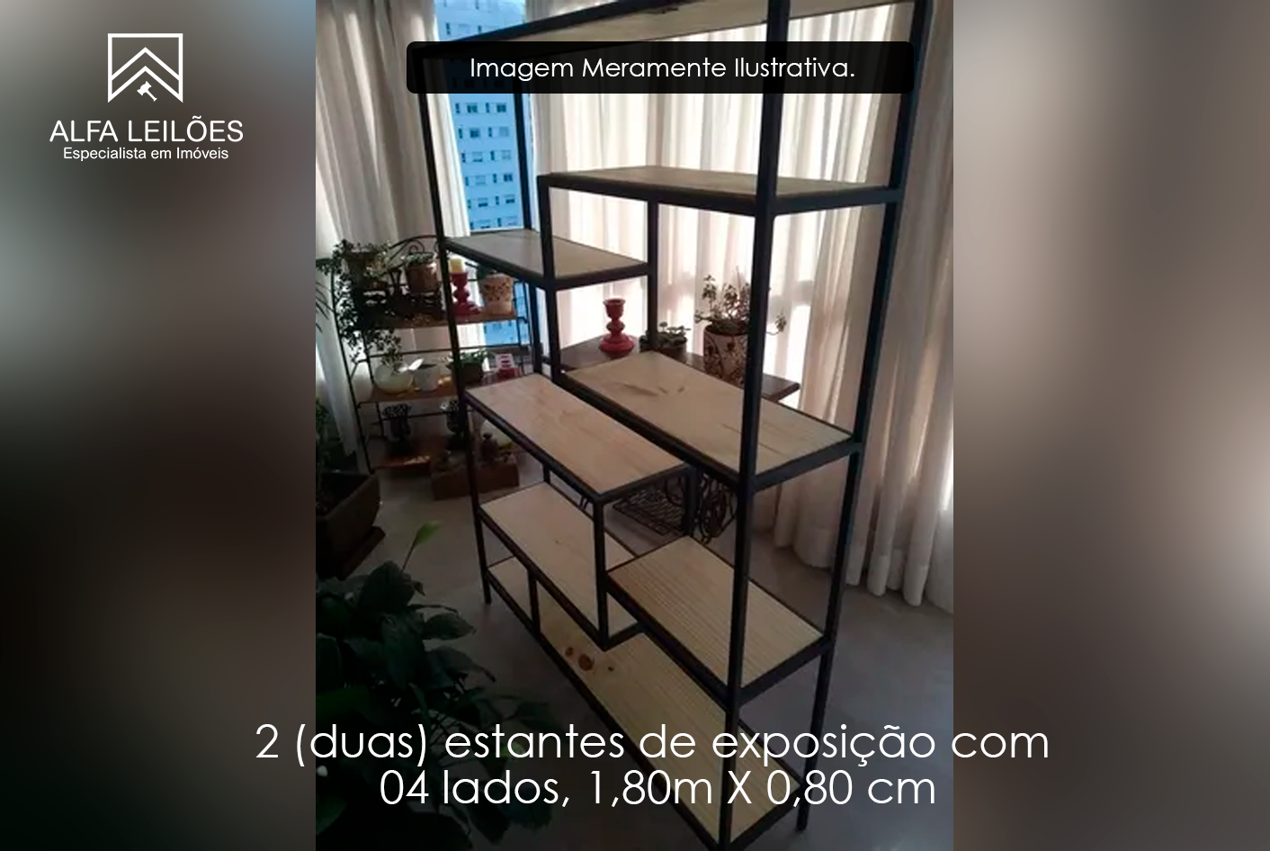 Lote