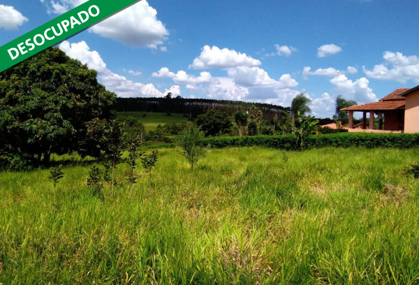 Destaque lote