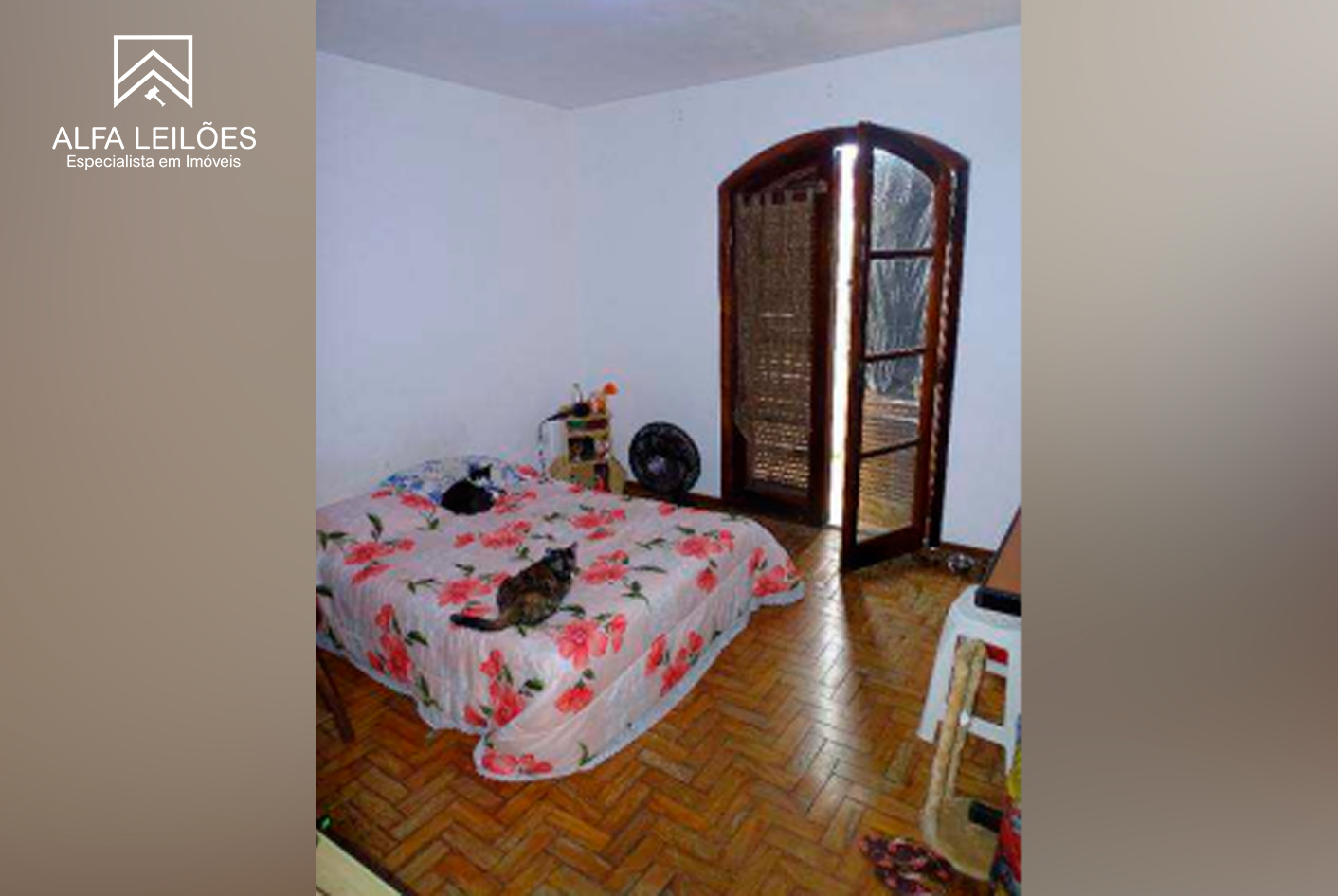 Lote