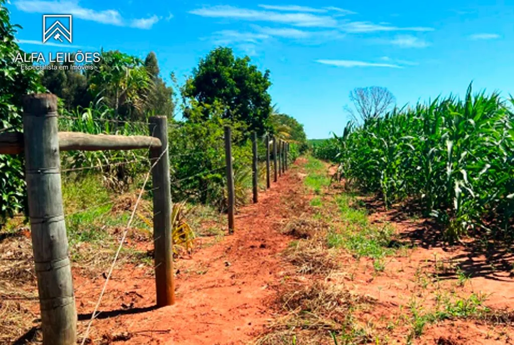 Gleba no Área Rural de Arealva (foto 8 de 17)