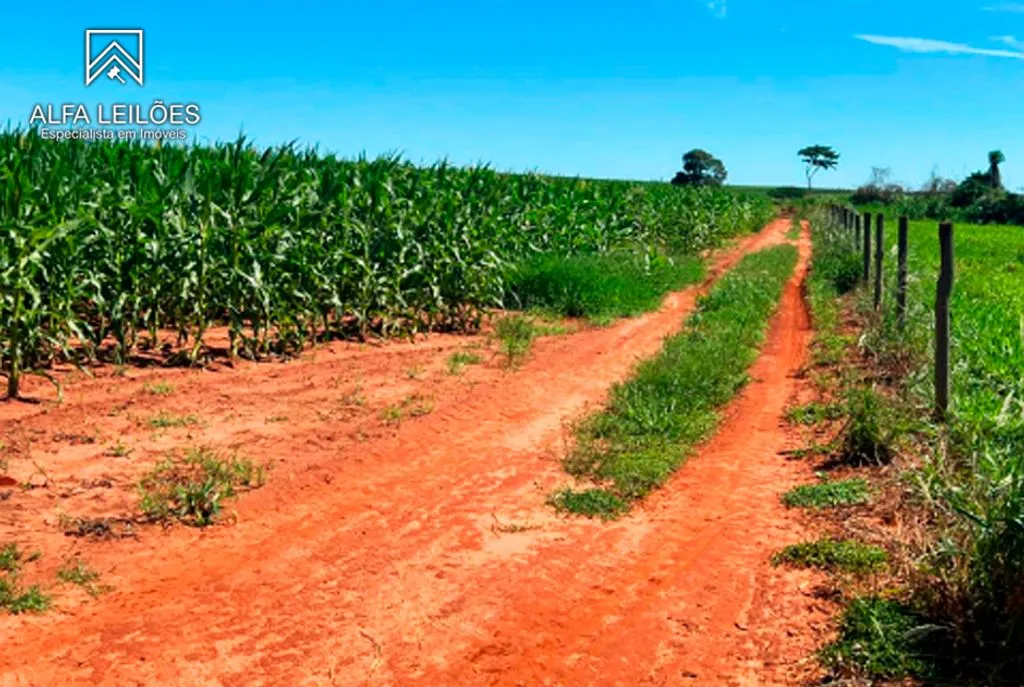 Gleba no Área Rural de Arealva (foto 10 de 17)
