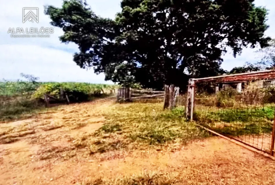 Gleba no Área Rural de São José do Rio Preto (foto 10 de 12)