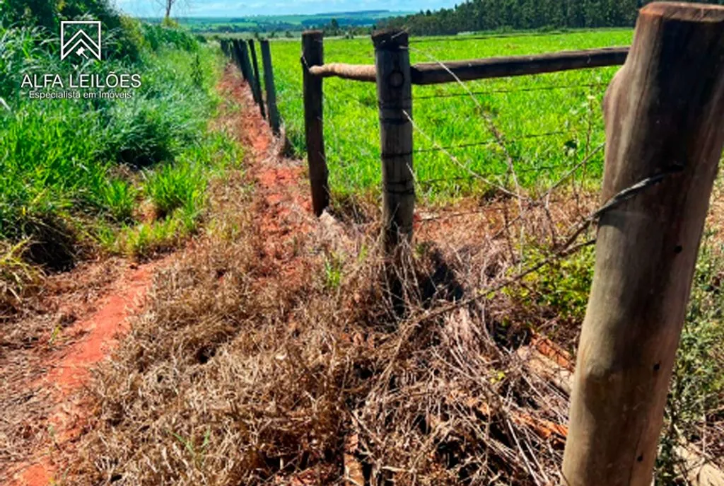 Gleba no Área Rural de Arealva (foto 11 de 17)