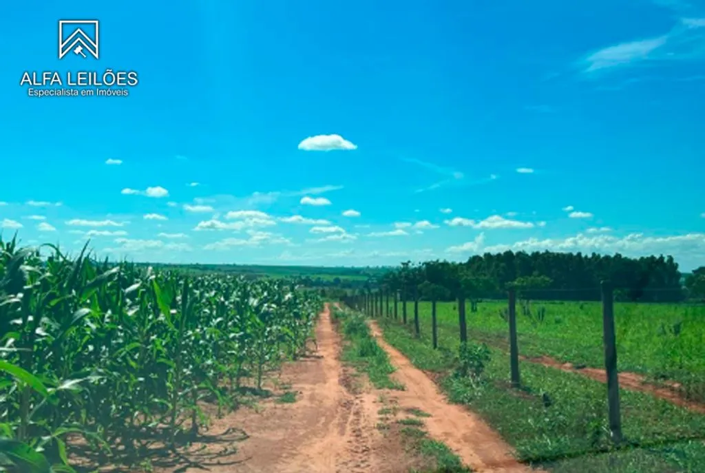 Gleba no Área Rural de Arealva (foto 13 de 17)