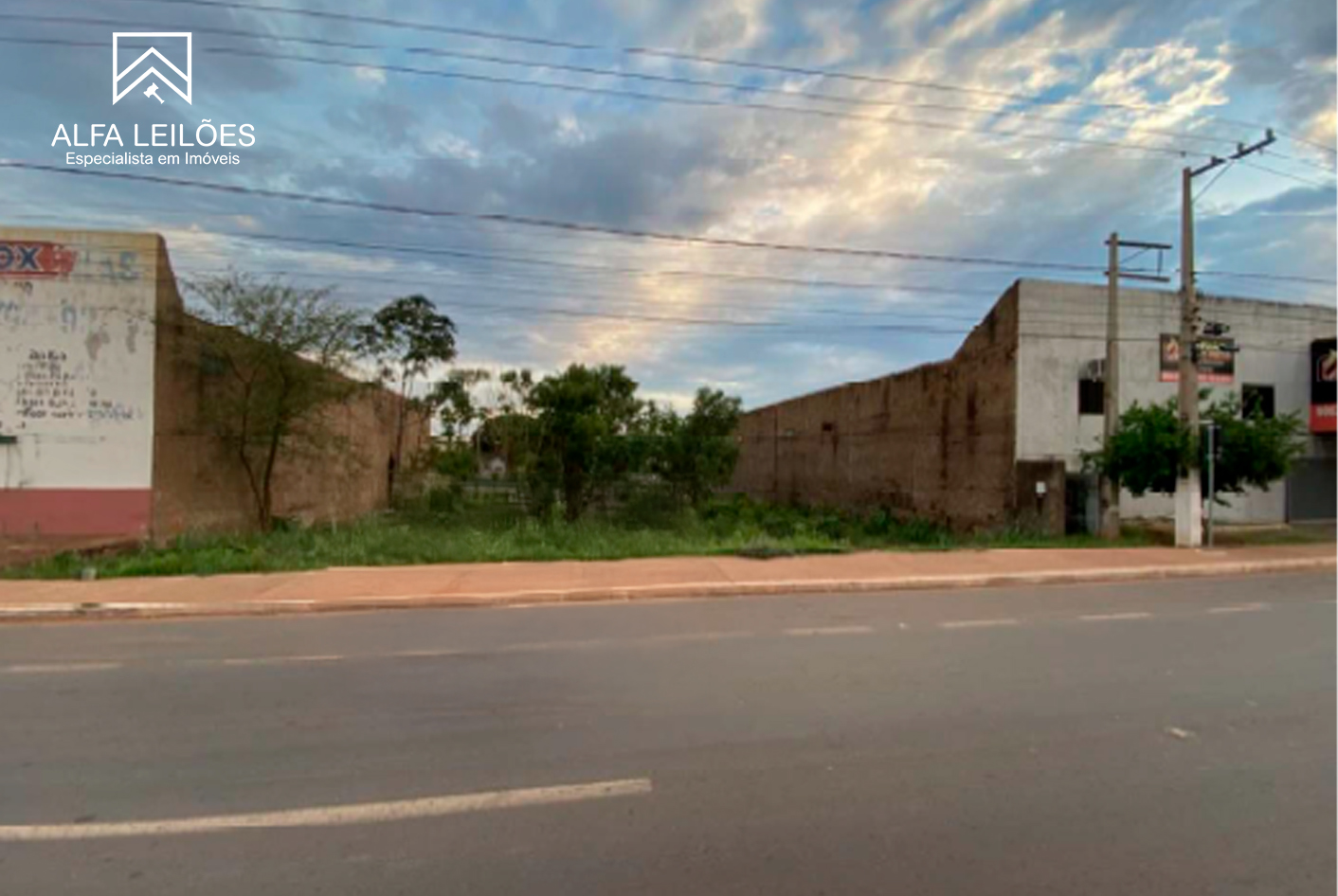 Lote