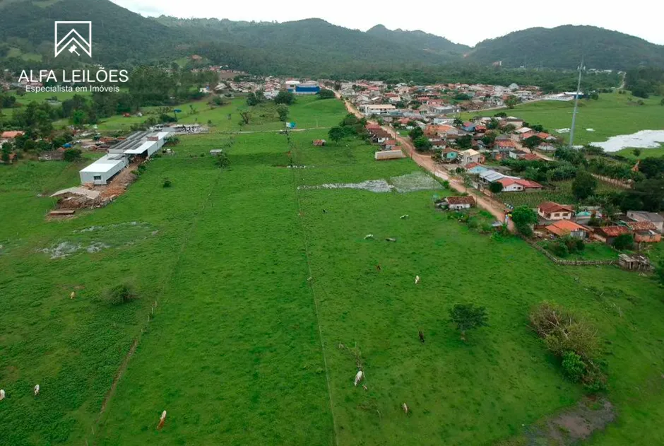 Lote