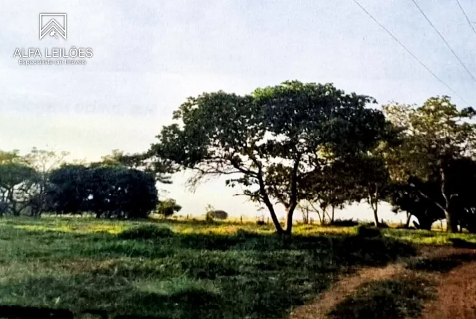 Gleba no Área Rural de São José do Rio Preto (foto 3 de 12)