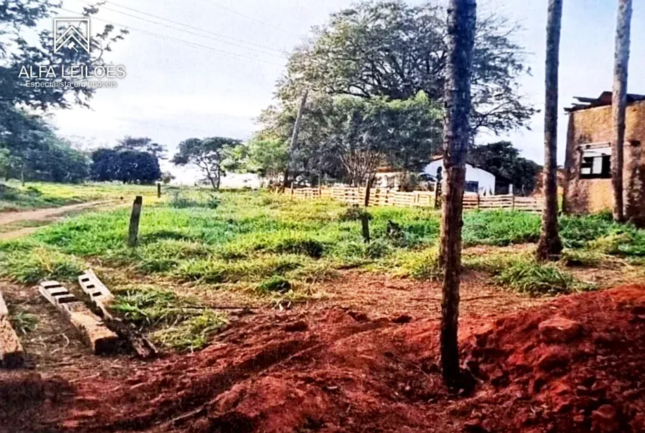 Gleba no Área Rural de São José do Rio Preto (foto 4 de 12)