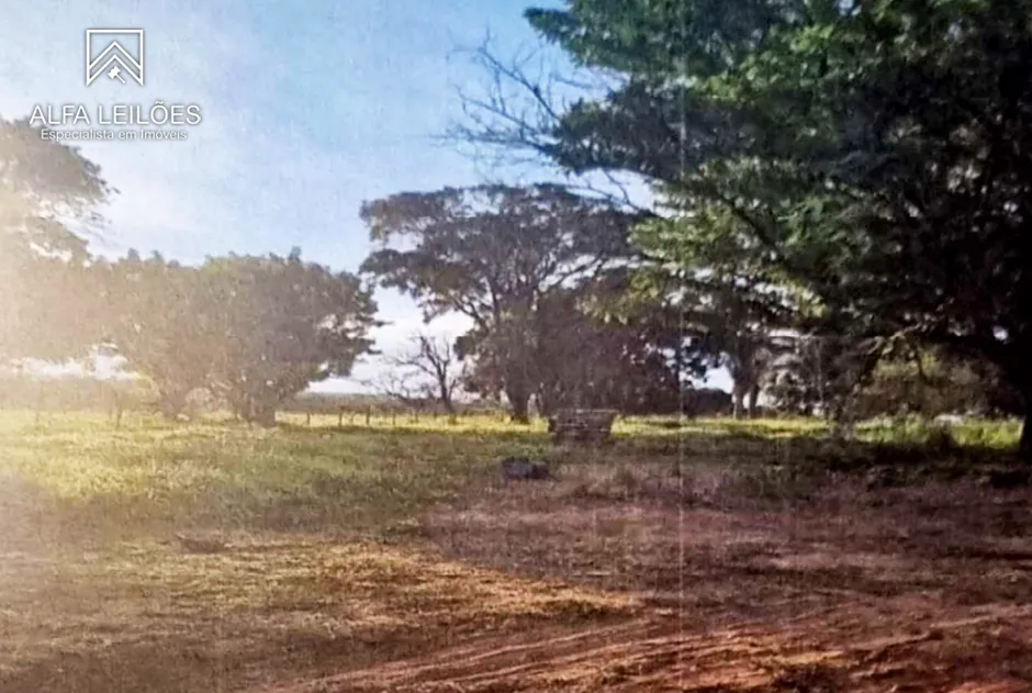 Gleba no Área Rural de São José do Rio Preto (foto 5 de 12)