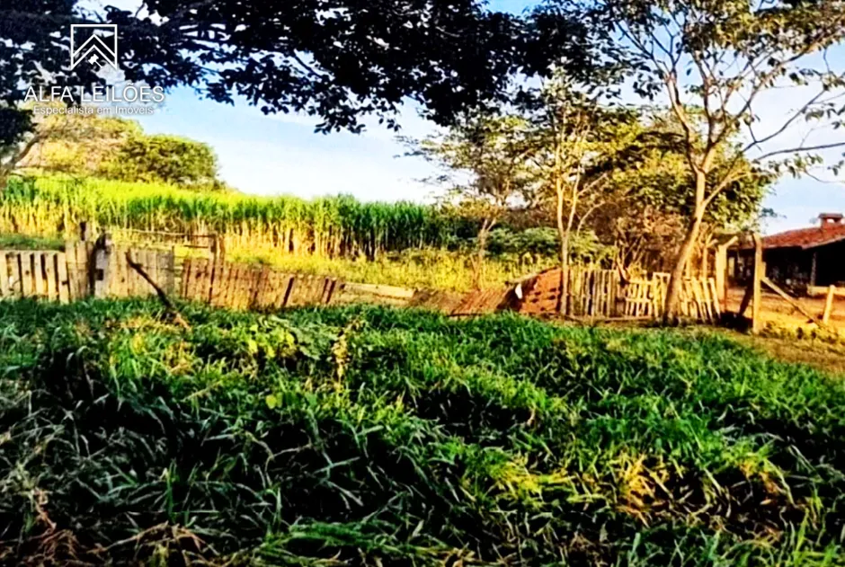 Gleba no Área Rural de São José do Rio Preto (foto 6 de 12)