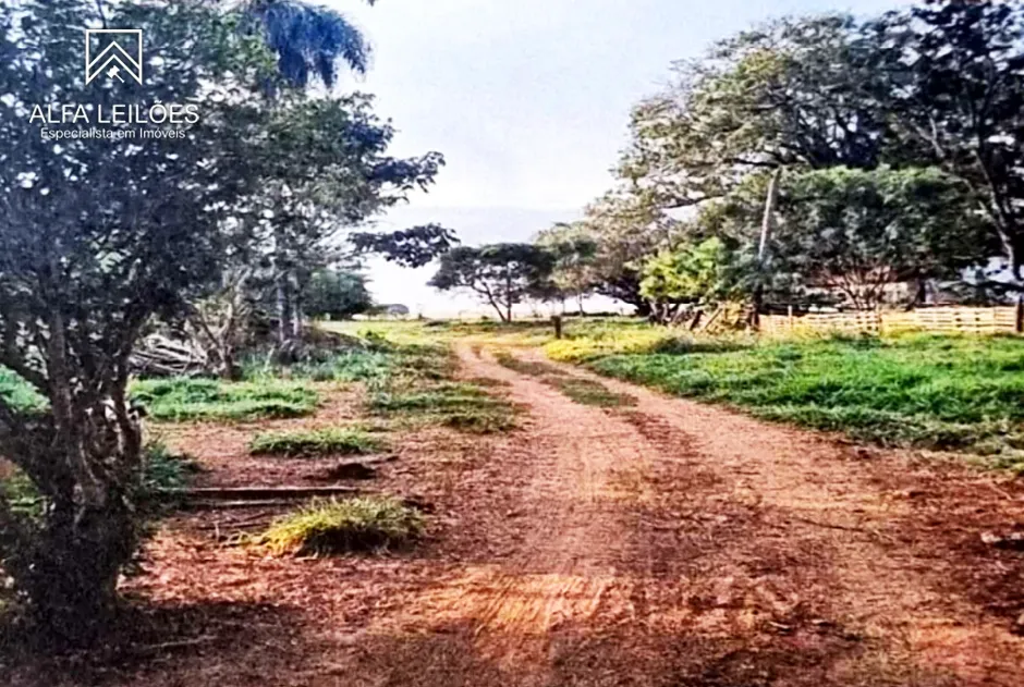 Gleba no Área Rural de São José do Rio Preto (foto 7 de 12)
