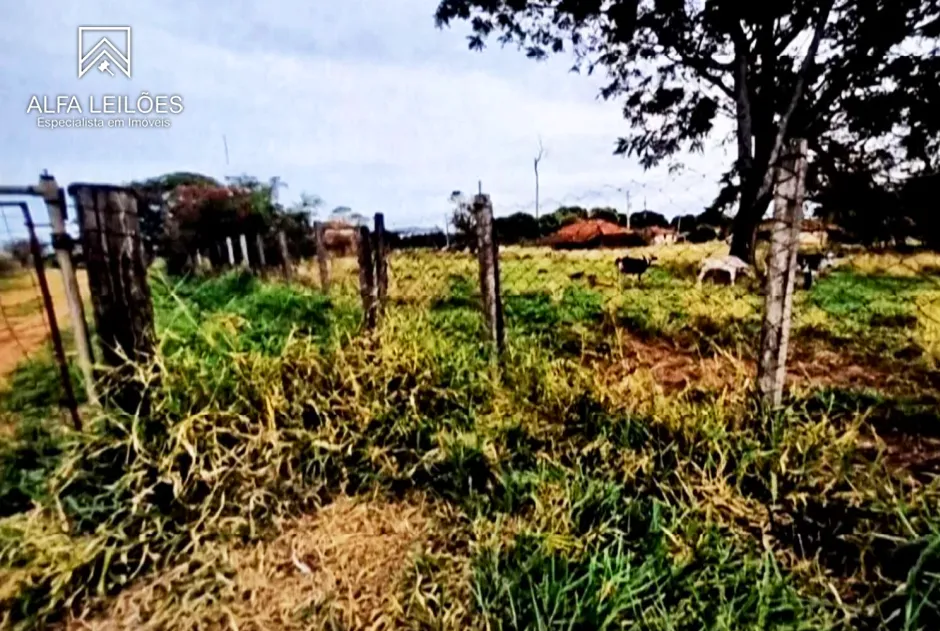 Gleba no Área Rural de São José do Rio Preto (foto 9 de 12)