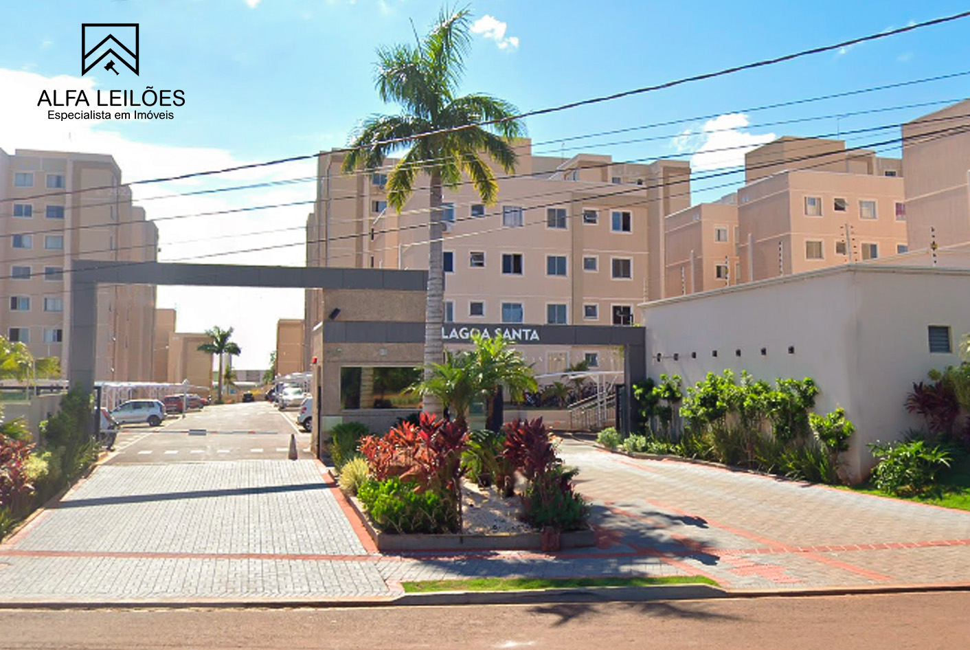 Destaque lote