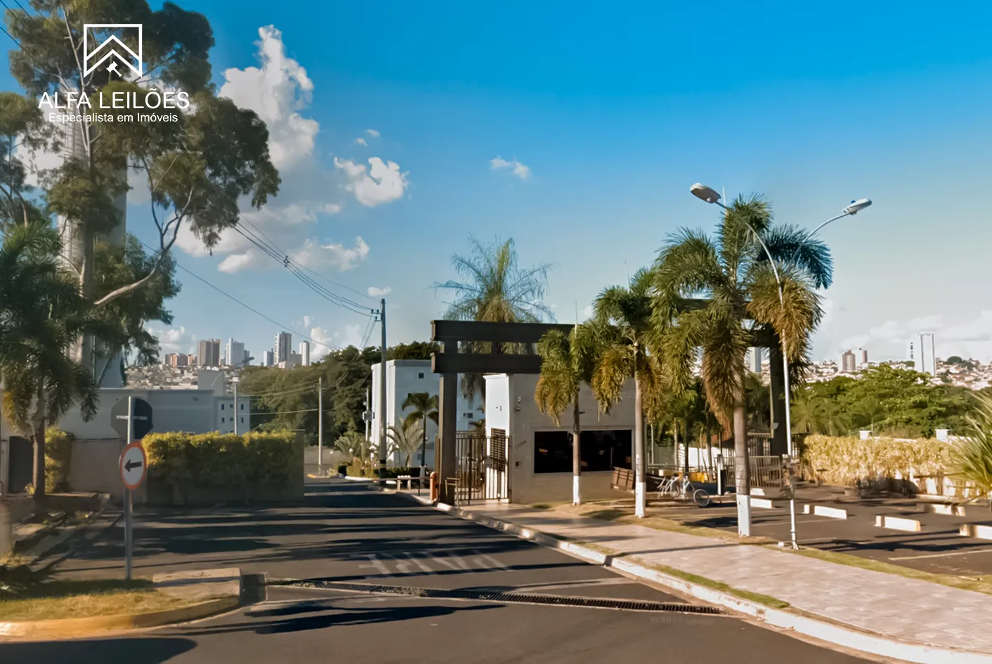 Destaque lote