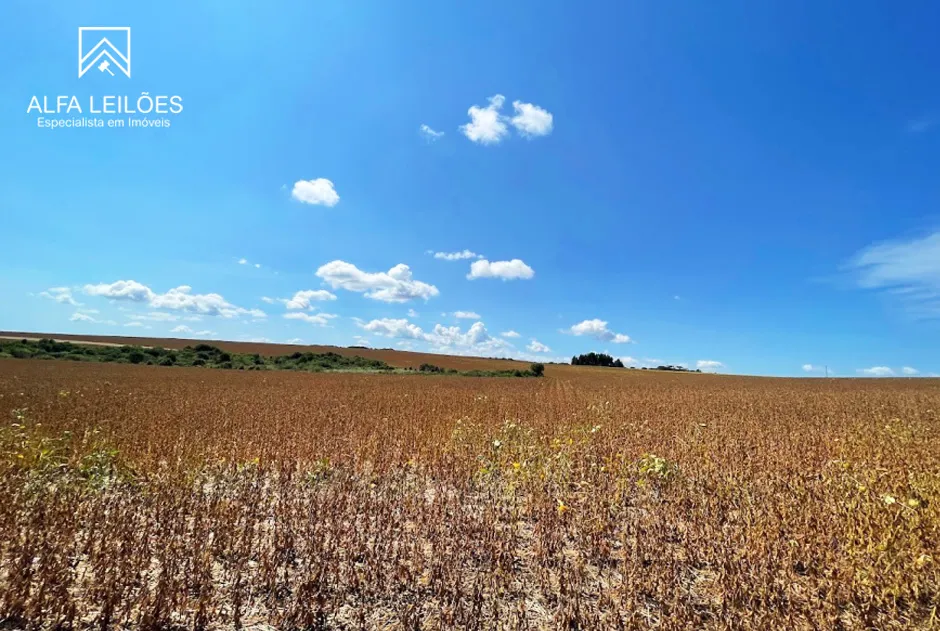 Destaque lote